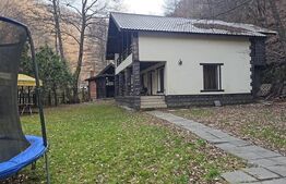 CABANA DACICA –Refugiu premium la poalele Munților Dacici, în inima Costeștiului