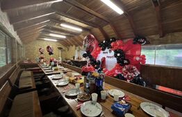 CABANA DACICA –Refugiu premium la poalele Munților Dacici, în inima Costeștiului