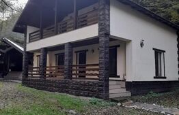 CABANA DACICA –Refugiu premium la poalele Munților Dacici, în inima Costeștiului