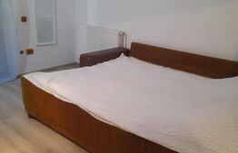 CABANA DACICA –Refugiu premium la poalele Munților Dacici, în inima Costeștiului