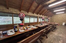 CABANA DACICA –Refugiu premium la poalele Munților Dacici, în inima Costeștiului