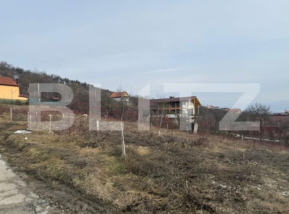 Teren de vânzare Micro 15 - 187040TV | BLITZ Deva | Poza3