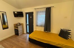 Pensiune in Centrul Vechi al Hunedoarei 