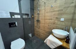 Pensiune in Centrul Vechi al Hunedoarei 