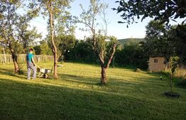 Teren + cabana pe piloi, 661 mp, zona Almasu Sec