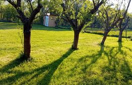 Teren + cabana pe piloi, 661 mp, zona Almasu Sec