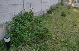 Teren + cabana pe piloi, 661 mp, zona Almasu Sec