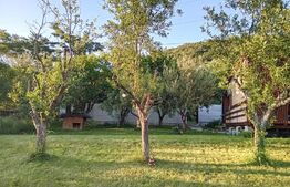 Teren + cabana pe piloi, 661 mp, zona Almasu Sec