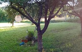 Teren + cabana pe piloi, 661 mp, zona Almasu Sec