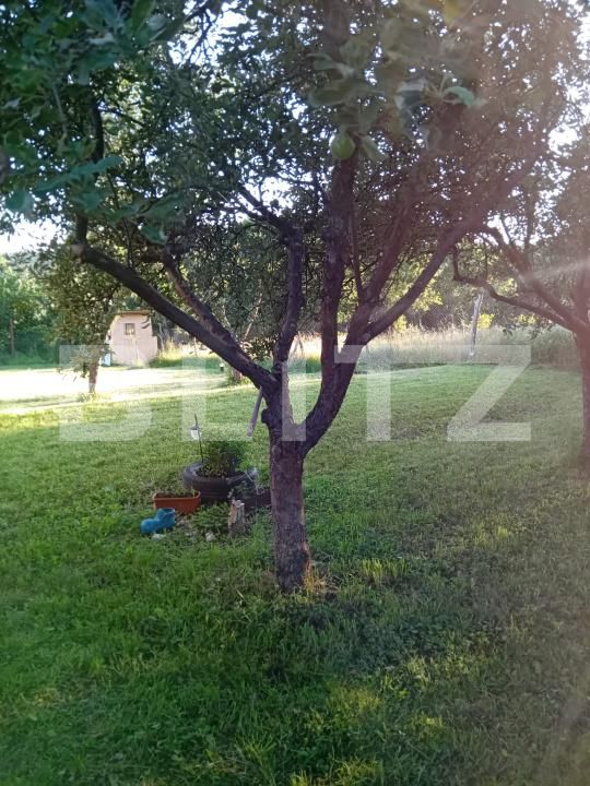 Teren de vânzare Exterior Sud - 187240TV | BLITZ Deva | Poza7