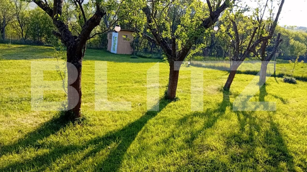 Teren de vânzare Exterior Sud - 187240TV | BLITZ Deva | Poza8