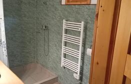 Cabană + teren generos, 60 mp utili, 30 km de Deva - Boz