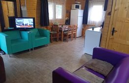 Cabană + teren generos, 60 mp utili, 30 km de Deva - Boz