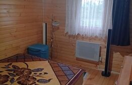 Cabană + teren generos, 60 mp utili, 30 km de Deva - Boz