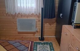 Cabană + teren generos, 60 mp utili, 30 km de Deva - Boz