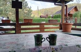 Cabană + teren generos, 60 mp utili, 30 km de Deva - Boz