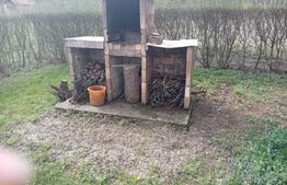 Cabană + teren generos, 60 mp utili, 30 km de Deva - Boz