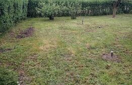 Cabană + teren generos, 60 mp utili, 30 km de Deva - Boz