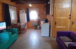 Cabană + teren generos, 60 mp utili, 30 km de Deva - Boz