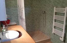 Cabană + teren generos, 60 mp utili, 30 km de Deva - Boz