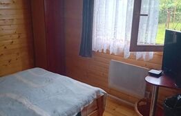 Cabană + teren generos, 60 mp utili, 30 km de Deva - Boz