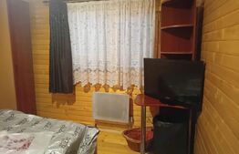 Cabană + teren generos, 60 mp utili, 30 km de Deva - Boz