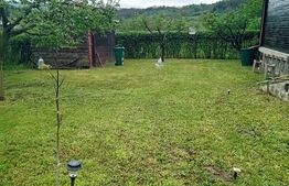 Cabană + teren generos, 60 mp utili, 30 km de Deva - Boz