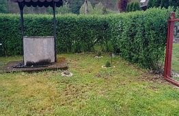 Cabană + teren generos, 60 mp utili, 30 km de Deva - Boz