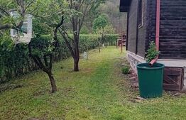 Cabană + teren generos, 60 mp utili, 30 km de Deva - Boz