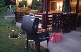 Cabană + teren generos, 60 mp utili, 30 km de Deva - Boz