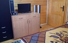 Cabană + teren generos, 60 mp utili, 30 km de Deva - Boz