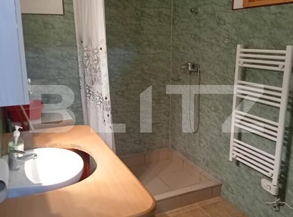 Casa de vânzare 3 camere Exterior Sud - 187242CV | BLITZ Deva | Poza19