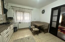 Casa individuala de vanzare, 216 mp, zona Cetate 