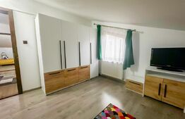 Casa individuala de vanzare, 216 mp, zona Cetate 