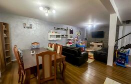 Casa individuala de vanzare, 216 mp, zona Cetate 