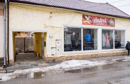 Casă 220 mp + Spațiu Comercial 105 mp - Piața Centrală