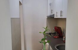 APARTAMENT CU 1 CAMERA FOARTE GENEROS-POZITIE EXCELENTA 