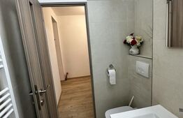 APARTAMENT CU 1 CAMERA FOARTE GENEROS-POZITIE EXCELENTA 