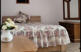 APARTAMENT CU 1 CAMERA FOARTE GENEROS-POZITIE EXCELENTA 