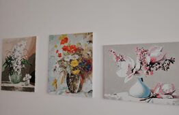 Apartament 2 camere cu curte, complet renovat & mobilat – zonă centrală, Deva