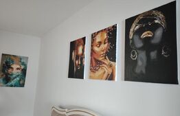 Apartament 2 camere cu curte, complet renovat & mobilat – zonă centrală, Deva