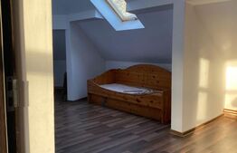 Casă mare, în Centrul Vechi din Deva - 10 camere, ideal locuință + investiție