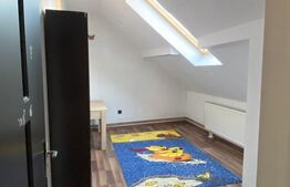 Casă mare, în Centrul Vechi din Deva - 10 camere, ideal locuință + investiție