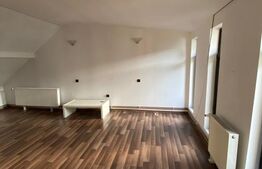 Casă mare, în Centrul Vechi din Deva - 10 camere, ideal locuință + investiție