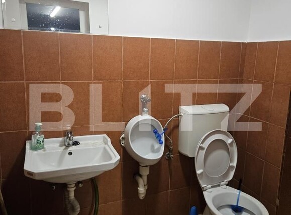 Spațiu comercial de vânzare Titu Maiorescu - 189313SVC | BLITZ Deva | Poza7