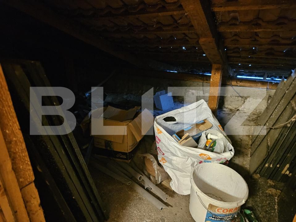 Spațiu comercial de vânzare Titu Maiorescu - 189313SVC | BLITZ Deva | Poza17