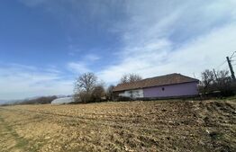 TEREN INTRAVILAN, 4550 MP, CU FRONT LA DN 7 SANTUHALM