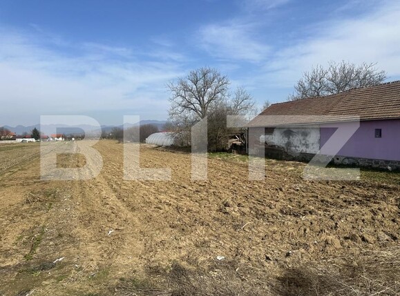 Teren de vânzare Santuhalm - 189583TV | BLITZ Deva | Poza1