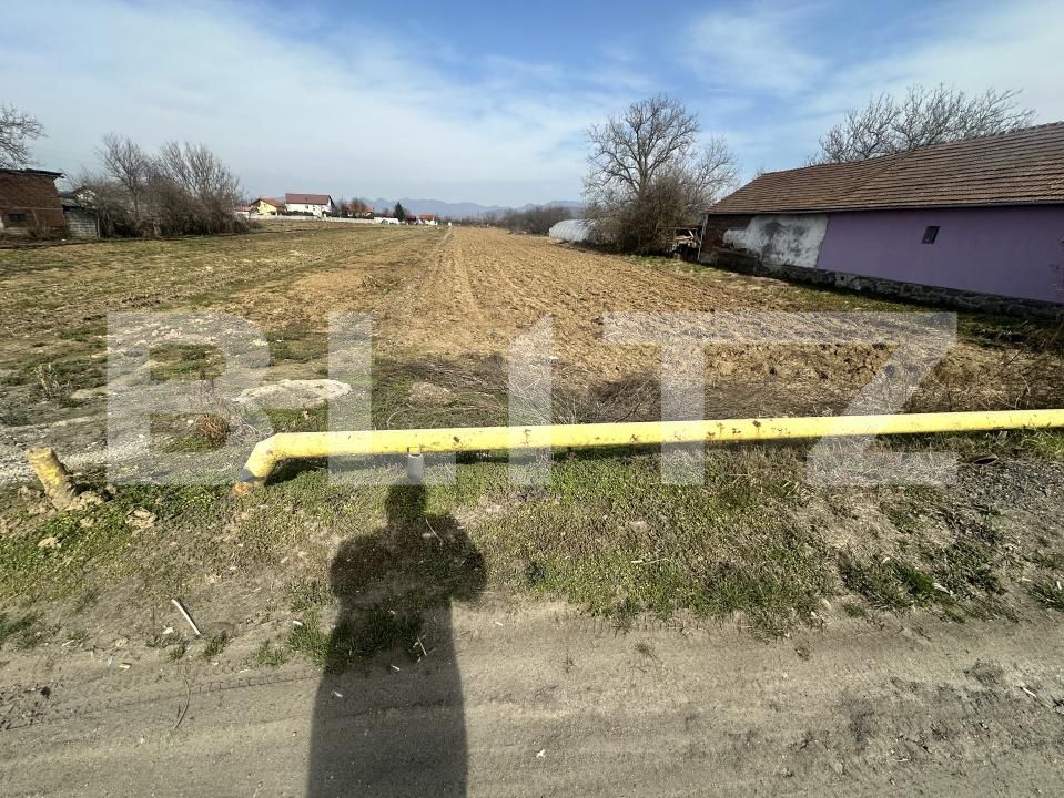 Teren de vânzare Santuhalm - 189583TV | BLITZ Deva | Poza3