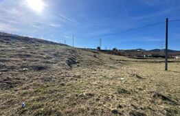 Teren 1830 mp Deva – extravilan cu demersuri intravilan – posibilitate parcelare